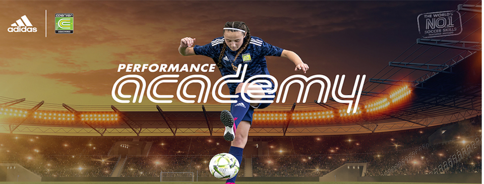 The Performance Academy